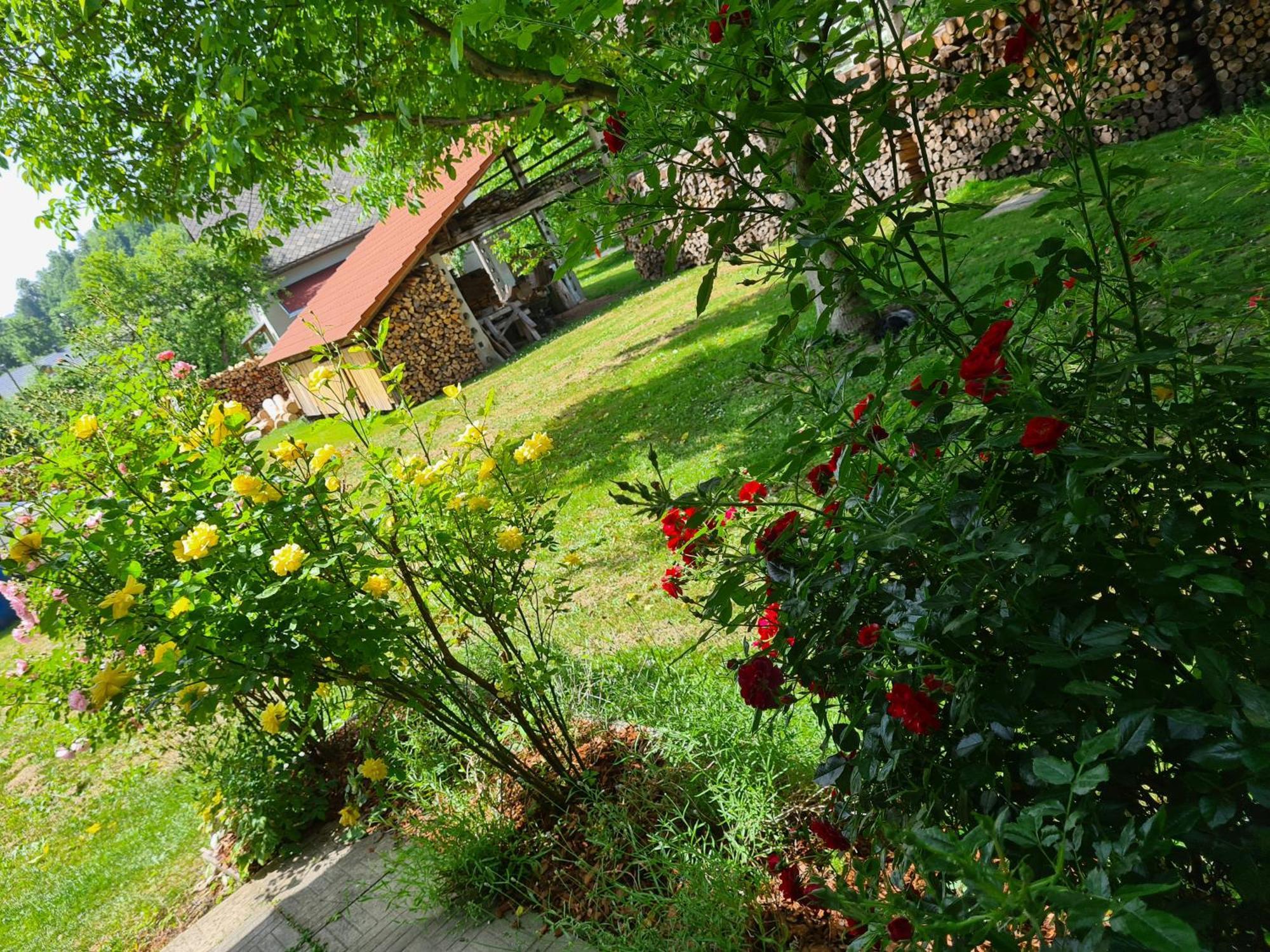 ゴレンスカ地方 Gostilna Batist Bed & Breakfast エクステリア 写真